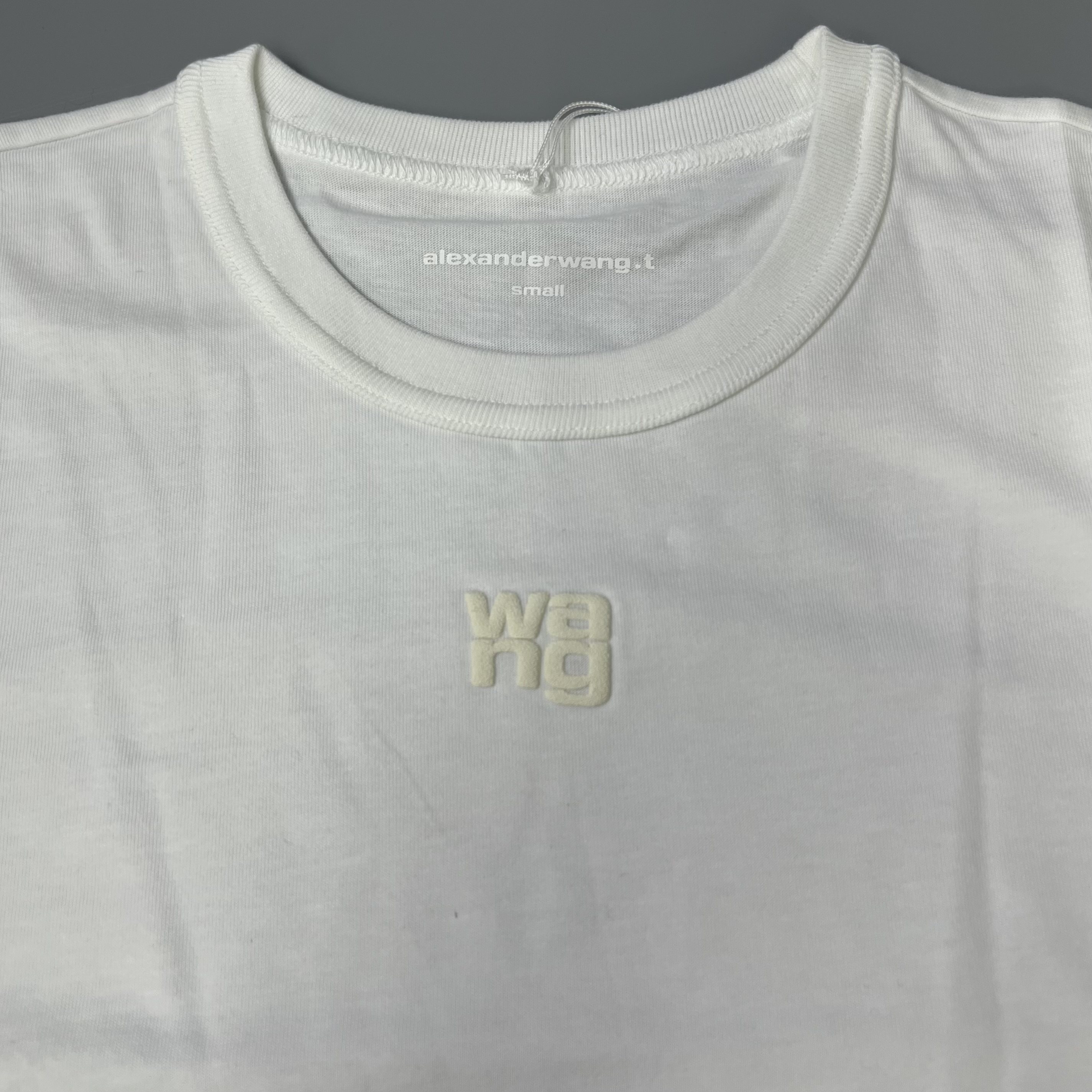 ALEXANDER WANG 4CC3241521 100