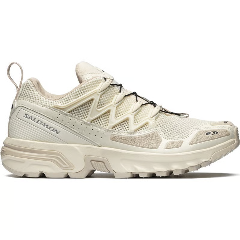 SALOMON L47134400  Vanilla Ice/Ebony/Ftw Silver