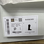 BURBERRY 8097097 C1173