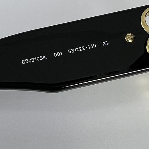 BALENCIAGA BB0310SK 001 53/22