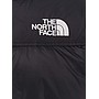 THE NORTH FACE NF0A3C8DGOE1