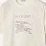 BURBERRY 8119006 B7078