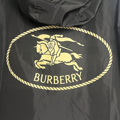 BURBERRY 8110236